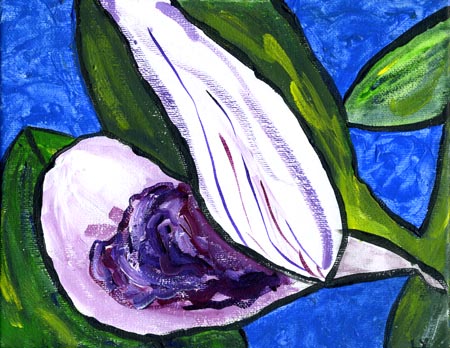Fava Blossom, acrylic on canvas,
                          8x10", by Lynette Yetter